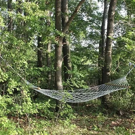 Tatiana Pines * Obzor