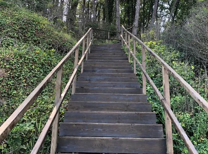 Tatiana Pines Lejlighed *