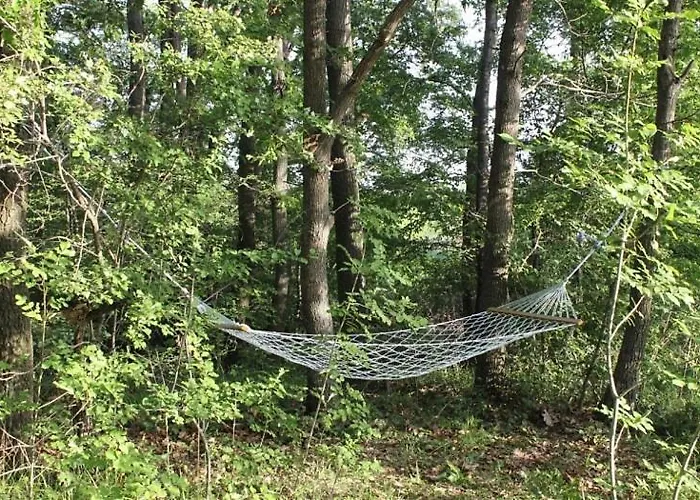 Tatiana Pines * Obzor