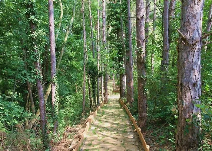 Tatiana Pines Apartment *